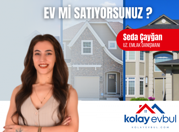 Seda